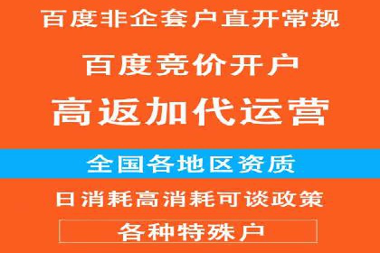 百度网络推广实战案例：从零开始打造爆款品牌
